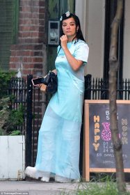 4232F66200000578-4682840-image-a-35_1499707902124